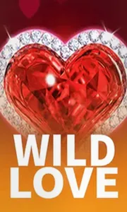Wild Love Endorphina